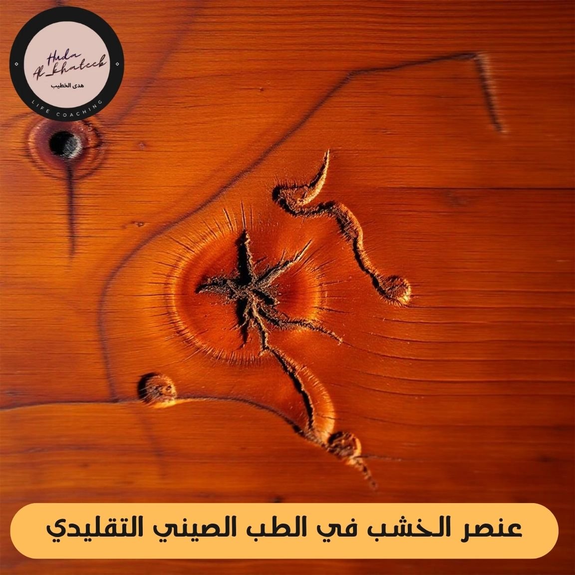 عنصر الخشب في الطب الصيني التقليدي